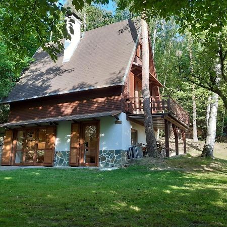 Holiday Home Zajicovi Rabyne Экстерьер фото